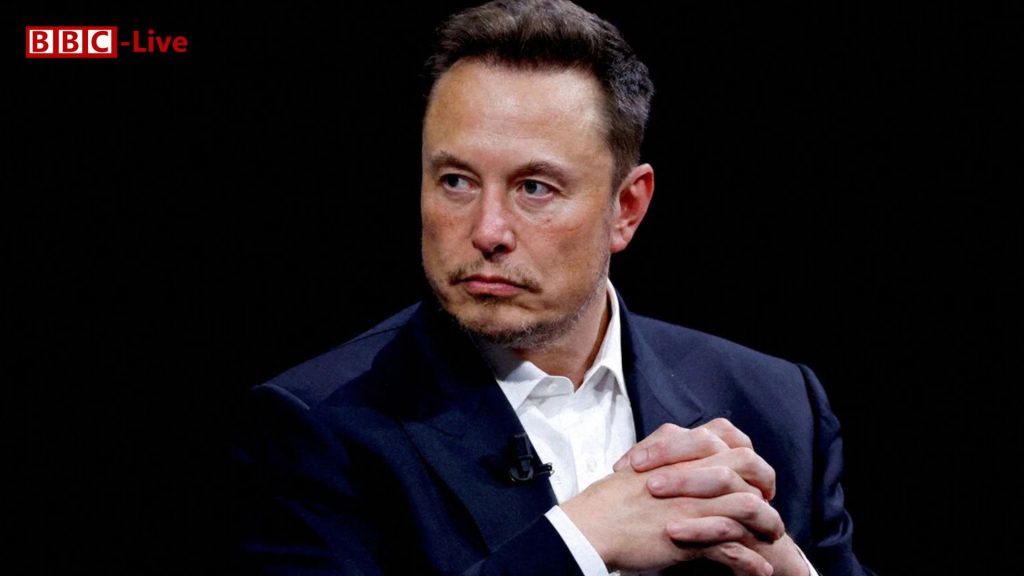 Elon Musk: Implications for Democracy